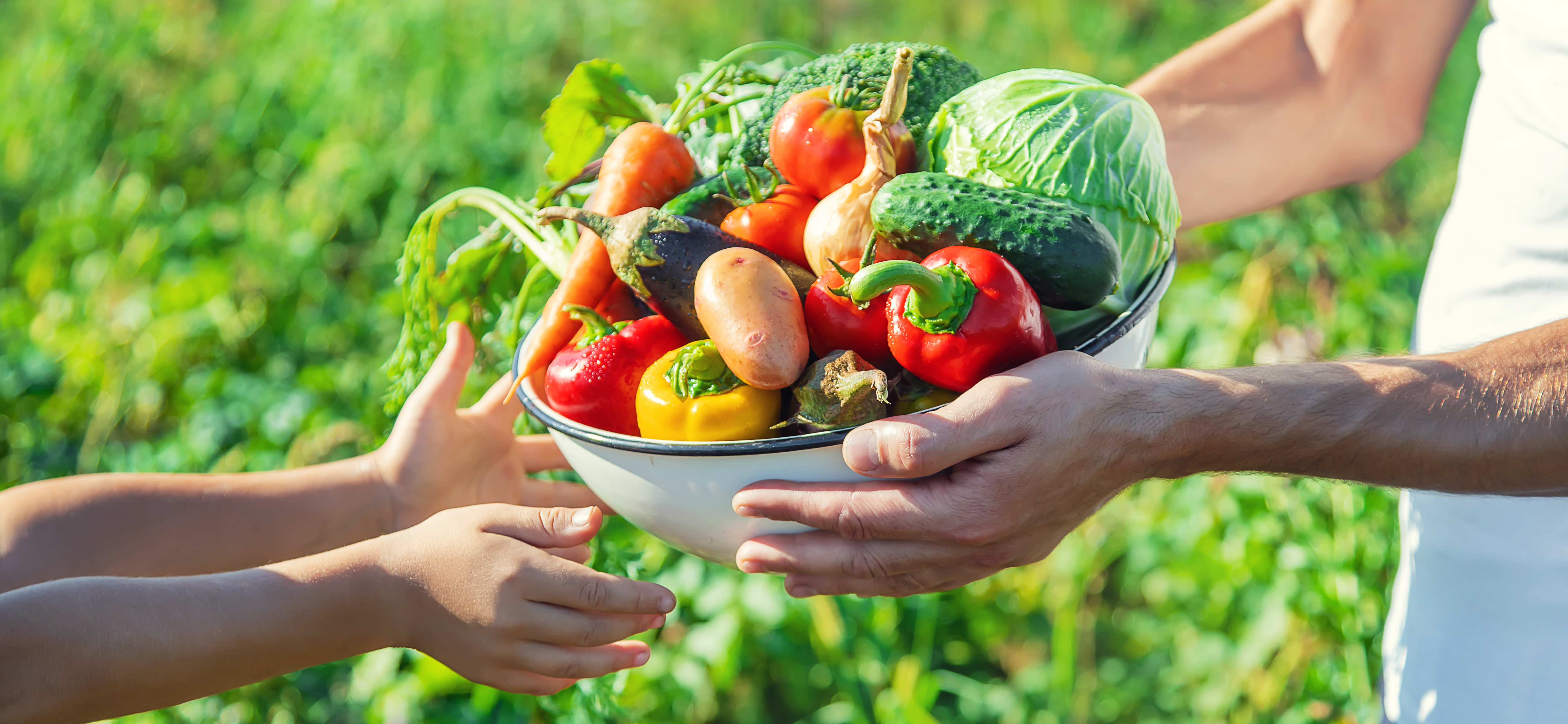 テスト農園のサブ写真３