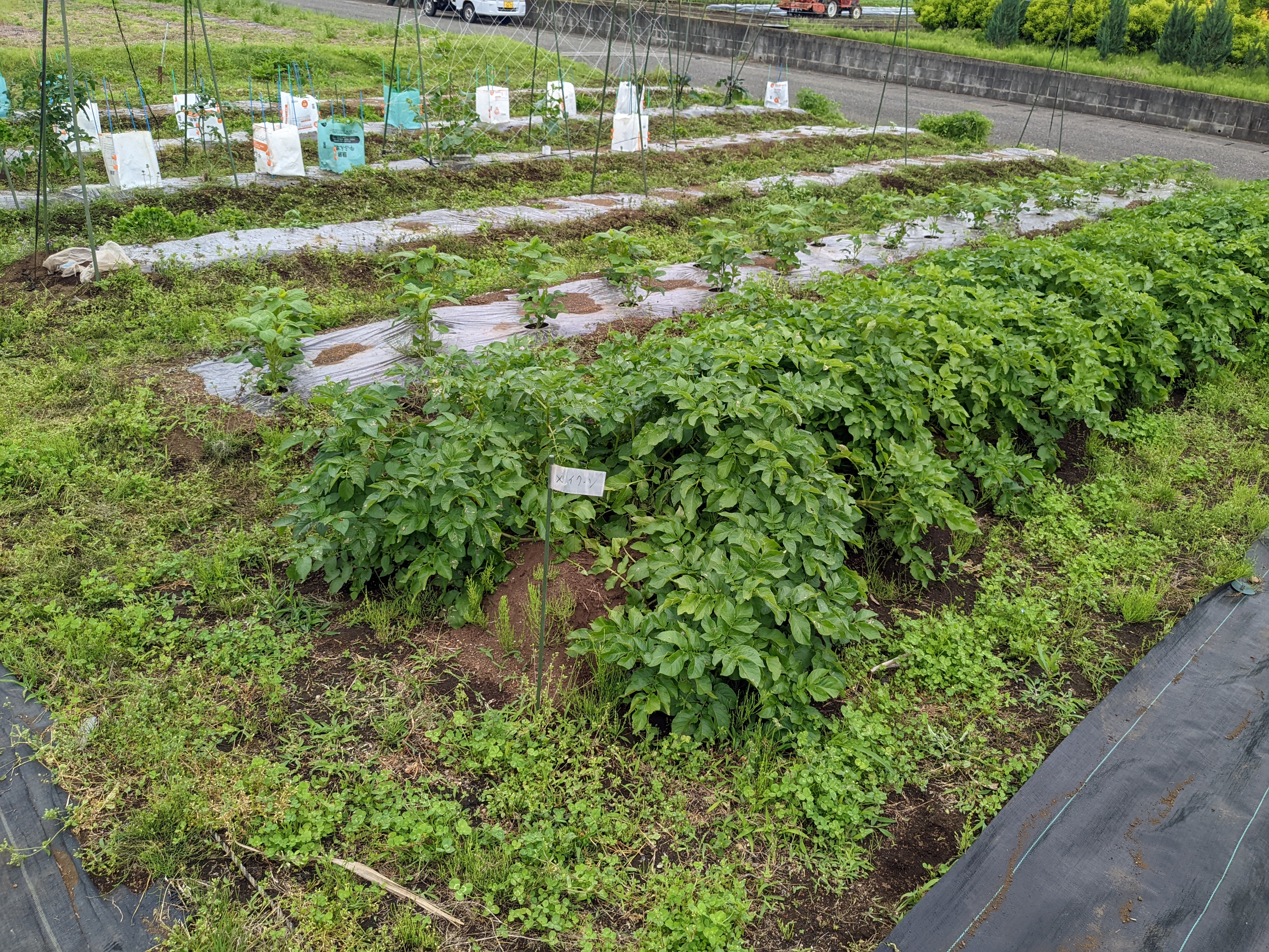 いおはら農園　愛川町角田