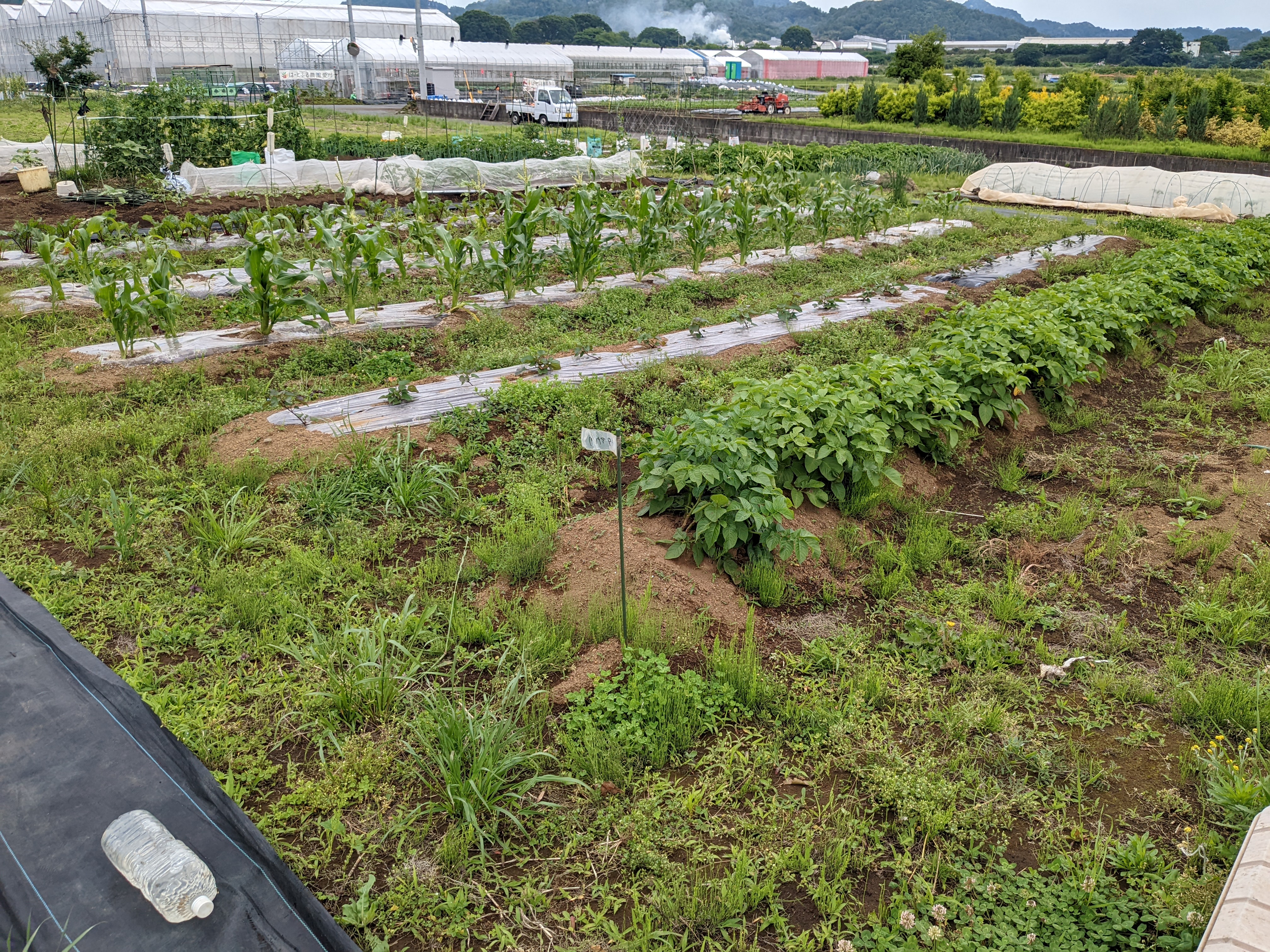 いおはら農園　愛川町角田