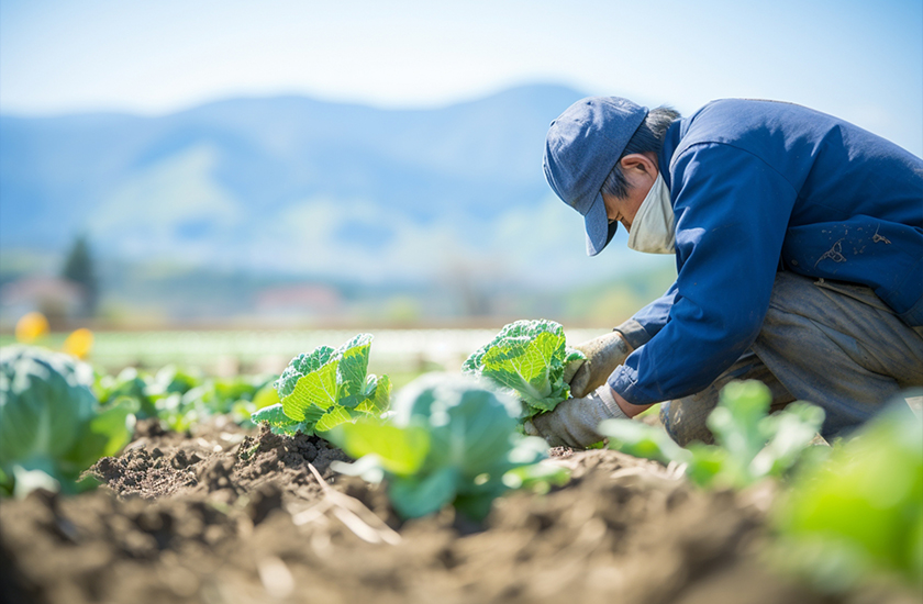 有料掲載の場合でも月額固定の掲載料金